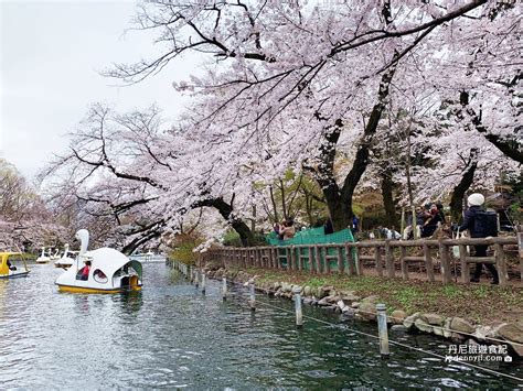 井之頭恩賜公園烤肉廣場: