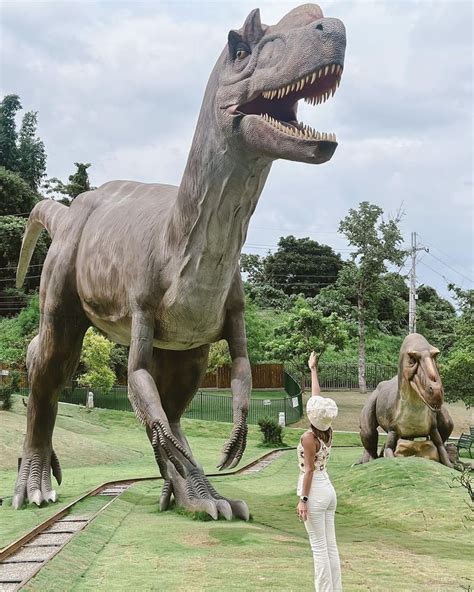 亞洲 最大 動物園