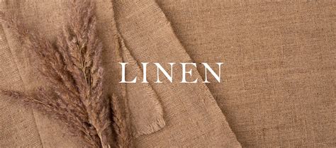 亞麻中文（Linen）