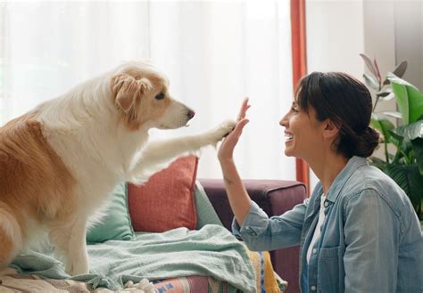 亡くなったペットと会話ができる人たち