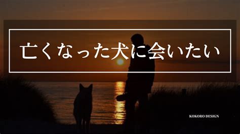 亡くなった愛犬に会いたい――悲しみに寄り添い、愛を再び感じるための道