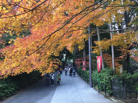 京都旅行のベストシーズン