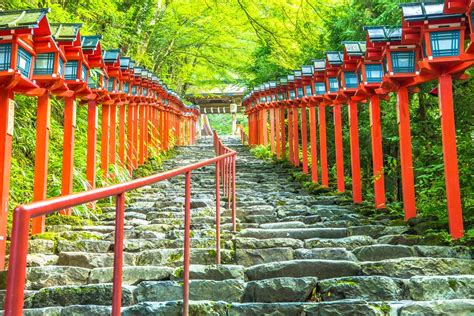 京都 え てる な