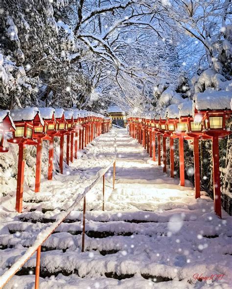 京都 1 月下雪