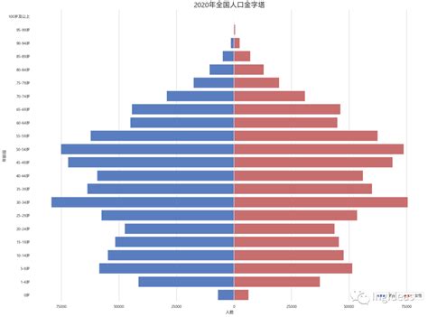 人口結構分析