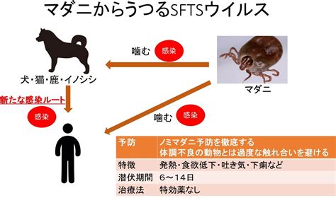 人獣共通感染症の症状