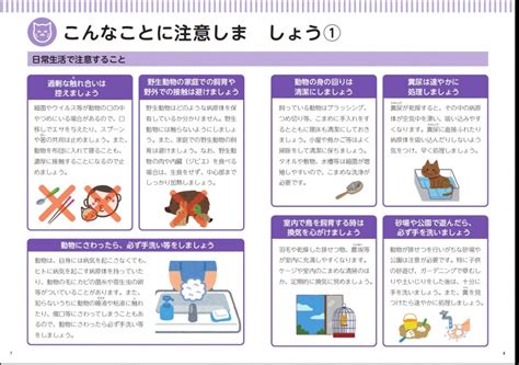 人獣共通感染症（ズーノーシス）の症状：健康を守るためのガイド