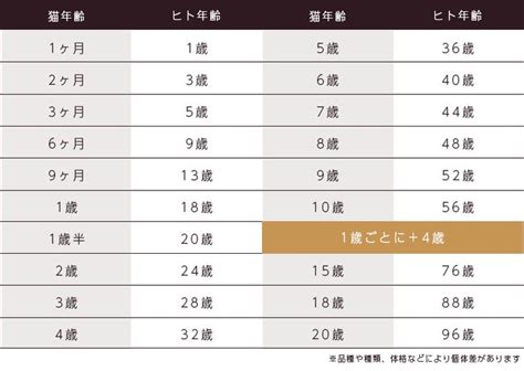 人間の年齢に換算すると？