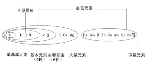 人類維生必需元素探討