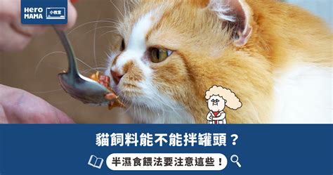 什麼是半濕食餵法？