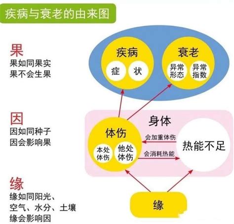 什麼是原始？