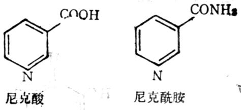 什麼是尼克酸？