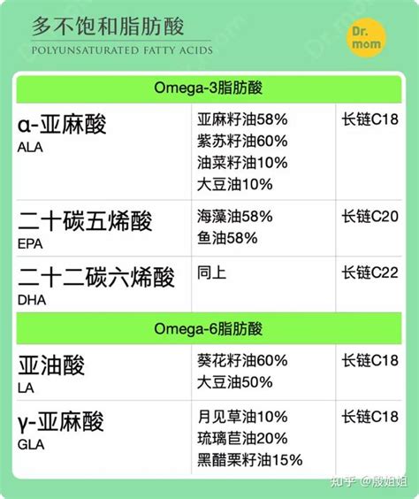 什麼是Omega-7脂肪酸？