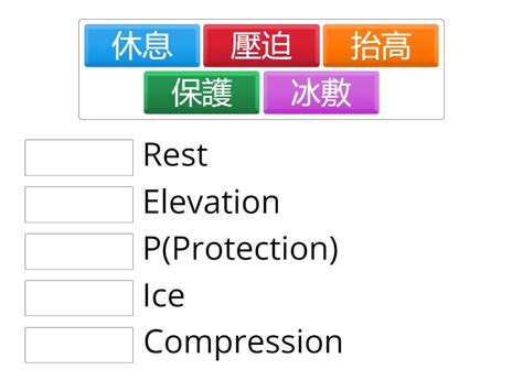 什麼是Prot？