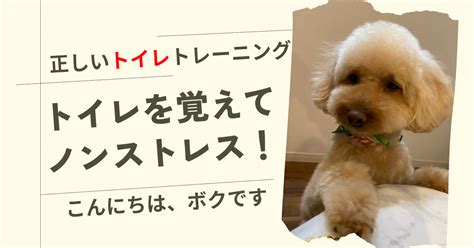 仔犬のしつけ: 愛犬との幸せな生活へのガイド