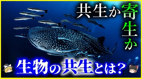 他の生物が寄生する生物