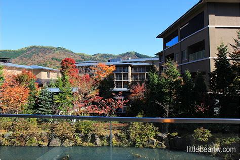 仙石原溫泉 箱根山景旅館