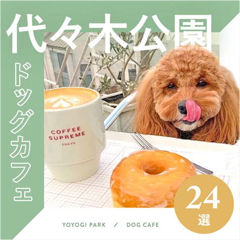 代々木公園で愛犬と憩いのひとときを過ごそう！おすすめドッグカフェ5選