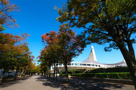 代々木公園で愛犬を楽しくお散歩する究極ガイド