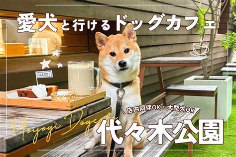 代々木公園のドッグカフェで愛犬と楽しむ最高のひととき