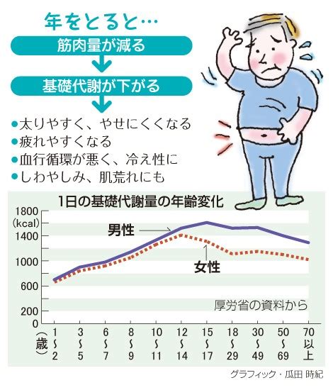 代謝の低下: