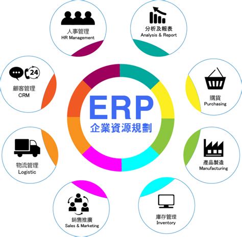 企業資源規劃 (ERP) 系統：