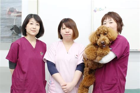 会 亀 動物 病院でペットの健康を管理する