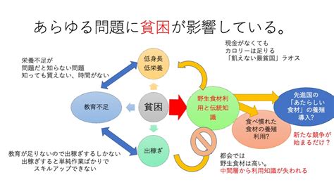 伝統的な知識