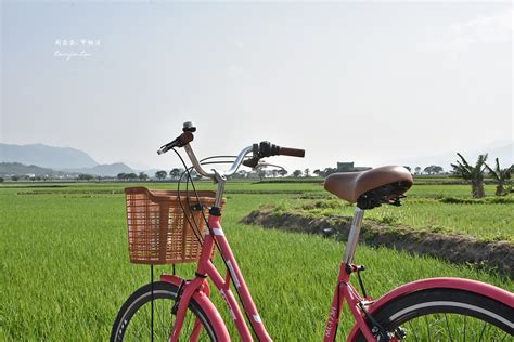 伯 朗 大道 腳踏車 推薦