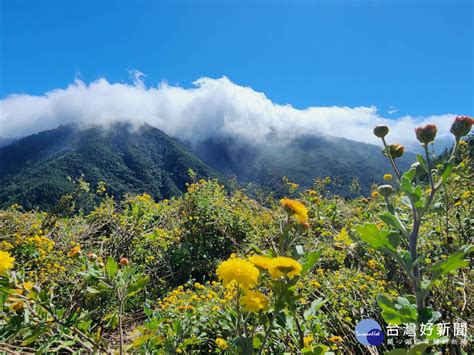 位於苗栗縣泰安鄉的蝴蝶谷森林遊樂區，佔地面積廣達32公頃，是一處以蝴蝶生態為主題的森林公園。