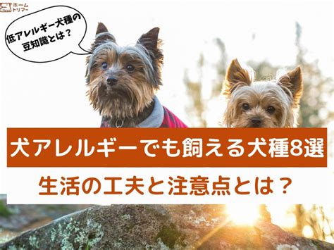 低コストで飼える犬種