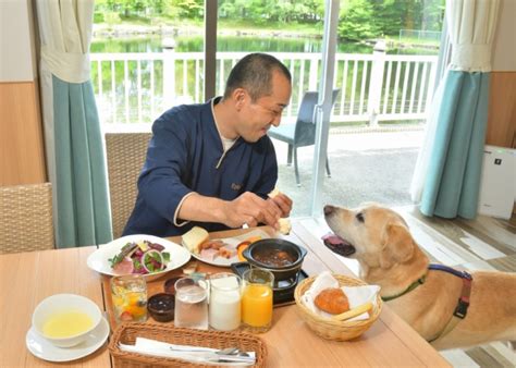 佐賀で愛犬と楽しめるオススメドッグカフェ徹底ガイド