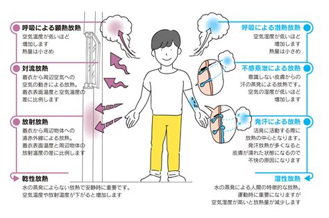 体の熱と湿気