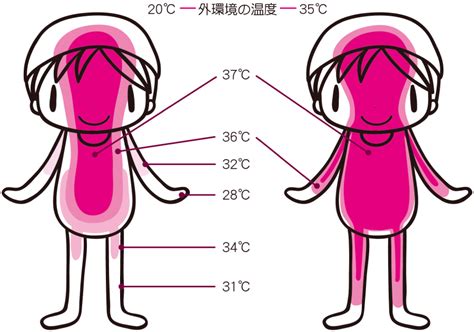 体温を維持する: