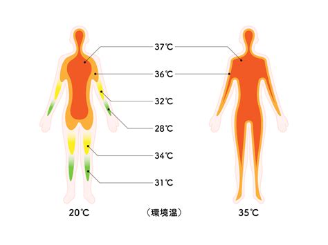 体温調節の改善：