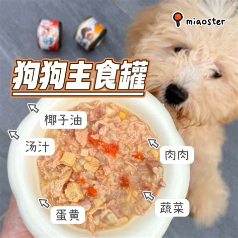 你的狗狗吃對了嗎？ 主食罐 PTT 評價大公開！