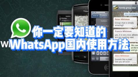 使用 WhatsApp 提升企业沟通的指南