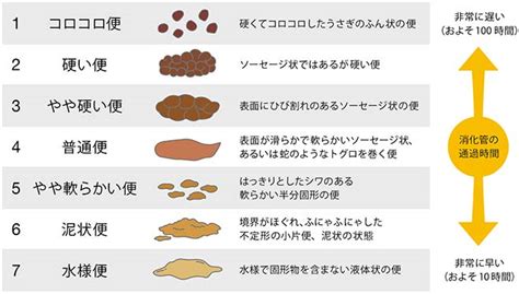 便がぼろぼろになってしまう原因