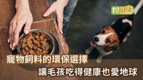 促進健康的寵物飼料：打造毛孩幸福生活的關鍵