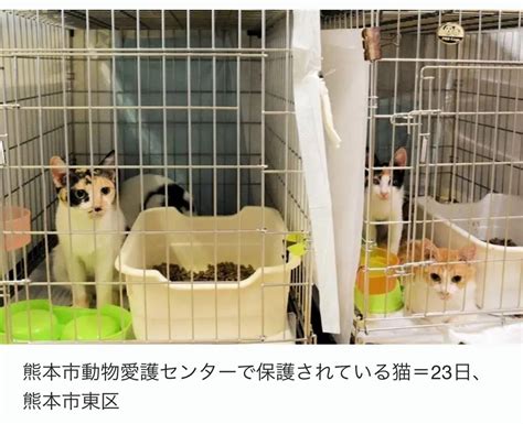 保護動物の収容: