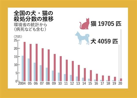 保護猫の推定数