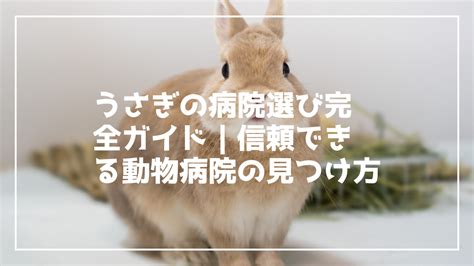 信頼できる動物病院をお探しですか？