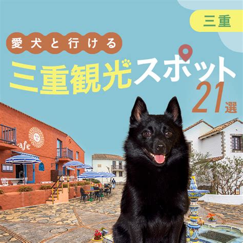 修善寺で愛犬と楽しめるドッグカフェガイド