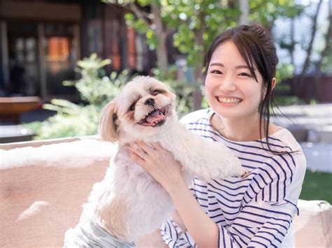 修善寺で愛犬と過ごす憩いのひととき: ドッグカフェの魅力