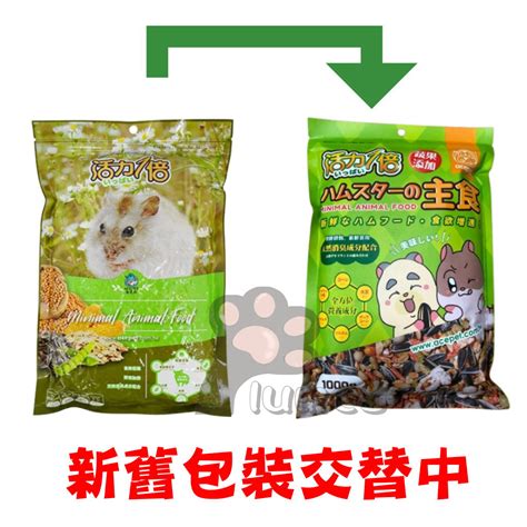 倉鼠飼料：讓你的寵物保持健康和活力