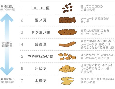 健康的なトイレの回数