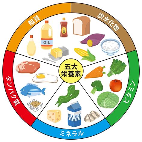 健康的な食品の入手：