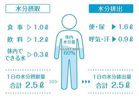 健康的な食欲と水分摂取量: