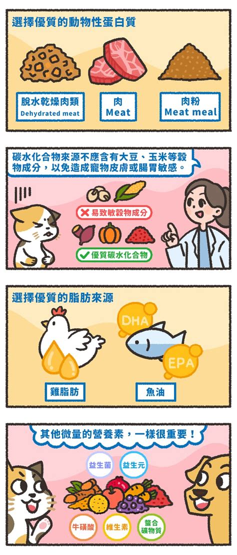 健康飼料的關鍵成分