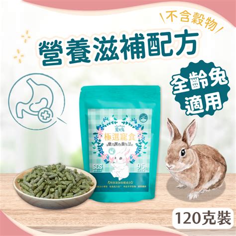 健康飼料：提升寵物健康與幸福